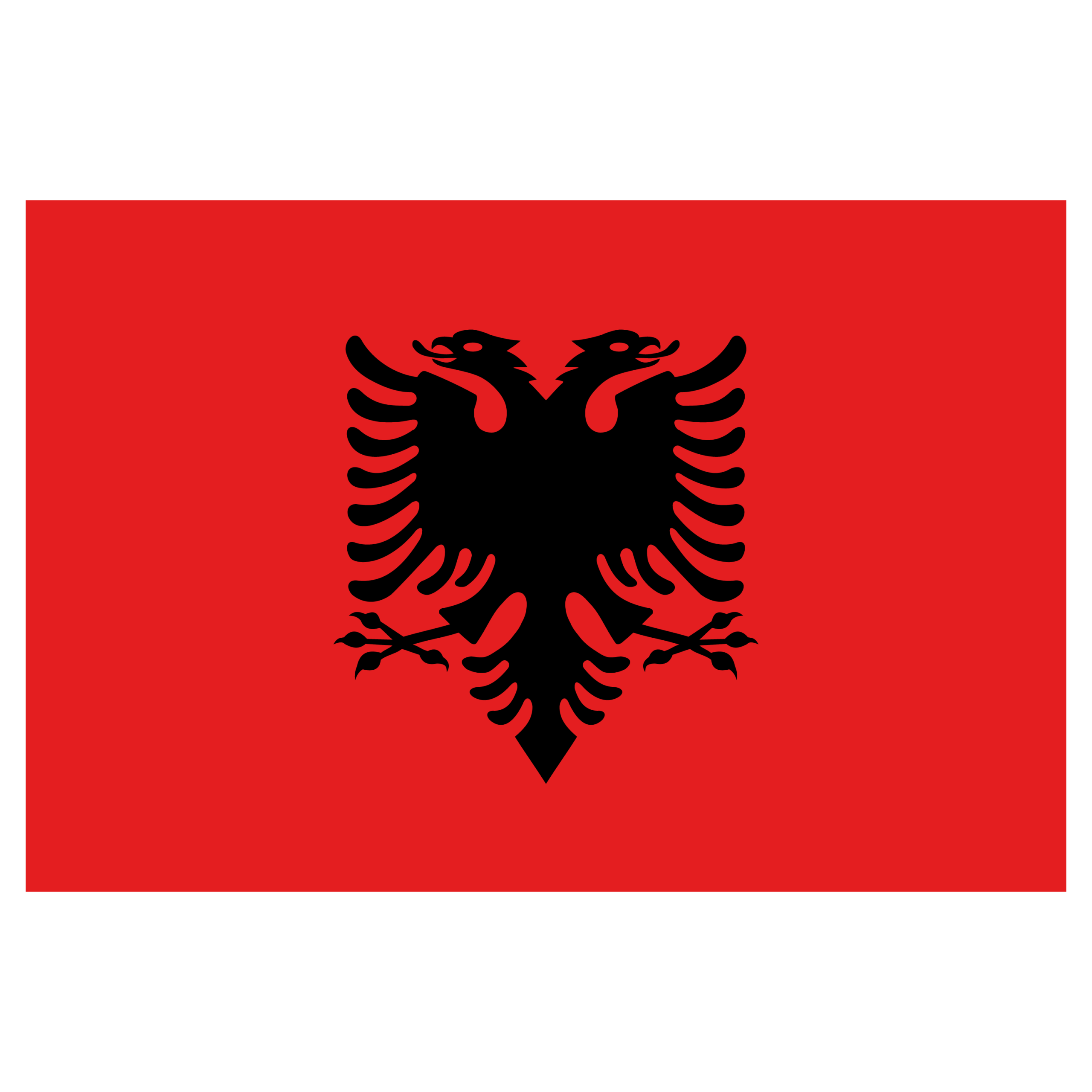 Stafford Affiliates Travel - Albanian Flag