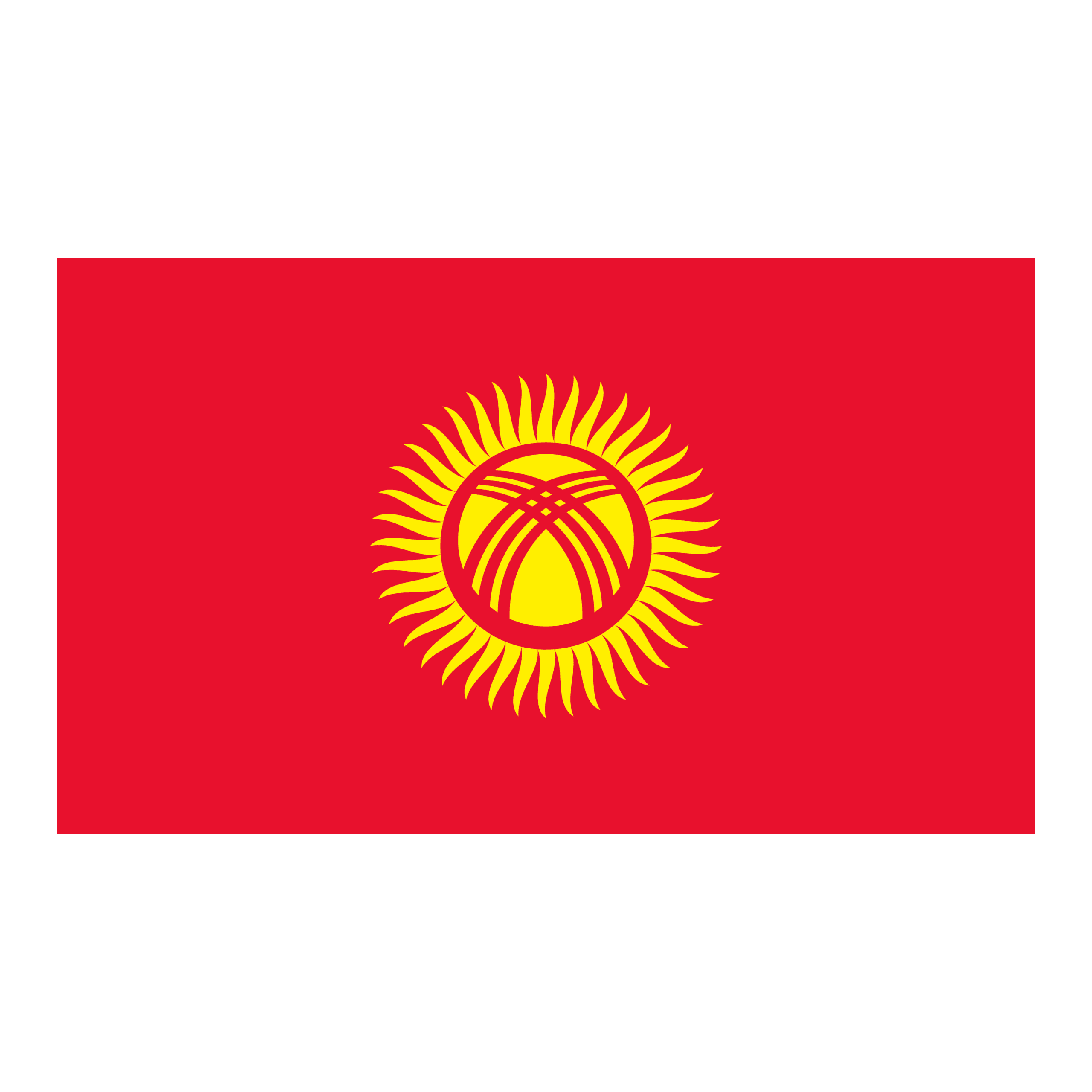 Stafford Affiliates Travel - The National Flag of Kyrgyzstan