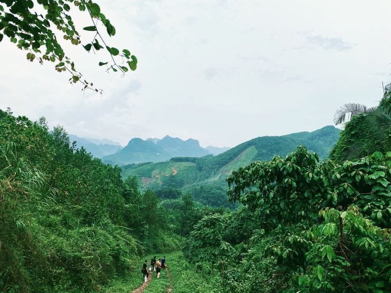 A group hiking in a vibrant green mountain landscape with a stunning view Stafford Affiliates Travel