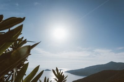 Tranquil ocean scene with bright sun and distant islands framed by lush greenery - Stafford Affiliates Travel